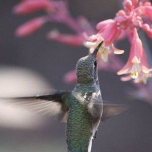 Meet your Posher, Isabelle